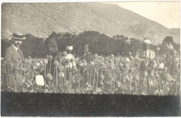 * T2 1917 Izmir, Smyrne; Karsiyaka / Opium Farm In The Cordelio District, Poppy Field. Photo - Non Classificati