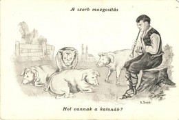 ** T4 A Szerb Mozgosítás. Hol Vannak A Katonák? / WWI Serbian Military Recruitment, Humorous Propaganda Postcard S: R. K - Non Classés