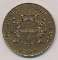 ~1920-1930. 'Erzsébeti Torna Club 1909' Br Emlékérem 'HAWEL BP' Gyártói Jelzéssel (48mm) T:2 - Unclassified
