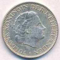 Hollandia 1966. 1G Ag 'I. Julianna' T:2
Netherlands 1966. 1 Gulden Ag 'Juliana' C:XF - Ohne Zuordnung