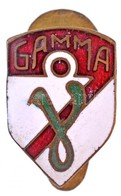 DN 'Gamma' Gamma M?vek Zománcozott Gomblyukjelvény (11x16mm) T:1- - Ohne Zuordnung