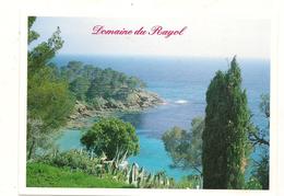 Le Rayol - Canadel - Domaine Du Rayol  -  CPSM° - Rayol-Canadel-sur-Mer