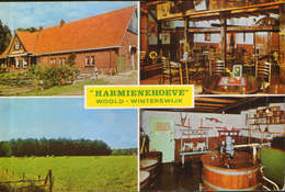 Netherlands - Postcard Unused - Winterswijk - Harmiene Farm - Winterswijk