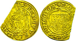 280 Niederlande, Utrecht, Florin (2,77g), O.J. (1456-1496), David Von Burgund. Av: Thronender St. Martin Von Vorn, Darum - Autres & Non Classés