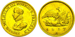 542 1/2 Friedrich D'or, 1817, Friedrich Wilhelm III., AKS 7, J. 106, F. Vz. - Autres & Non Classés