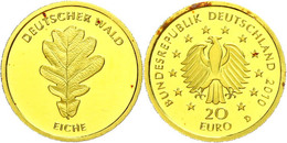 1160 20 Euro, Gold, 2010, Deutscher Wald-Eiche, D, In Kapsel, Fleckig, St., Katalog: J. 522 St - Other & Unclassified