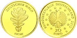 1161 20 Euro, Gold, 2010, Deutscher Wald-Eiche, D, In Kapsel, St., Katalog: J. 522 St - Autres & Non Classés