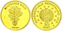 1165 20 Euro, Gold, 2010, Buche, In Kapsel, Fleckig, St., Katalog: J. 552 St - Andere & Zonder Classificatie