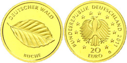 1166 20 Euro, Gold, 2011, Deutscher Wald-Buche, G, In Kapsel, St., Katalog: J. 562 St - Autres & Non Classés