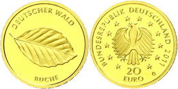 1167 20 Euro, Gold, 2011, Deutscher Wald-Buche, G, In Kapsel, St., Katalog: J. 562 St - Andere & Zonder Classificatie