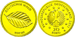 1168 20 Euro, Gold, 2011, Deutscher Wald-Buche, G, In Kapsel, St., Katalog: J. 562 St - Other & Unclassified