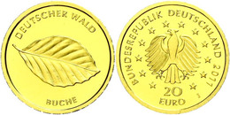 1169 20 Euro, Gold, 2011, Deutscher Wald-Buche, Mzz J, In Kapsel, Mit Originalzertifikat, St., Katalog: J. 562 St - Andere & Zonder Classificatie