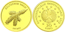 1171 20 Euro, Gold, 2012, Deutscher Wald-Fichte, G, In Kapsel, St., Katalog: J. 572 St - Other & Unclassified