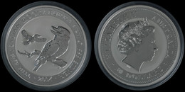 1299 30 Dollars, 1 Kg Silber, 2004, Kookaburra, In Kapsel, St.  St - Autres & Non Classés