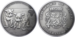 1532 2.000 Francs, 2013, Africa - Babylöwen, 3 Unzen Silber, Antik Finish, In Kapsel Mit Zertifikat, St. Auflage Nur 500 - Gabon