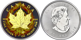 1647 5 Dollars, 2015, Burning Maple Leaf, 1 Unzen Silber, Black Ruhenium Finish, Vergoldet, Etui Mit OVP Und Zertifikat. - Canada