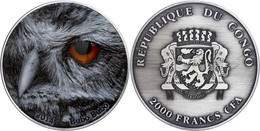 1663 2.000 Francs, 2014, Natures Eyes - Uhu Buba Buba,  2 Unzen Silber, Antik Finish, Etui Mit OVP Und Zertifikat, St. A - Congo (Democratic Republic 1964-70)