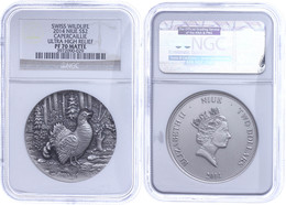 1751 2 Dollars, 2014, Swiss Wildlife-Auerhahn, In Slab Der NGC Mit Der Bewertung PF 70 Matte, Ultra High Relief. - Niue