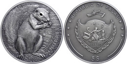 1818 5 Dollars, 2013, Graues Eichhörnchen, 1 Unze Silber, Antik Finish, Mit Swarovski, Etui Mit OVP Und Zertifikat, St.  - Palau