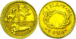 1836 1/2 Escudo, Gold, 1836, Lima, TM, KM 146.1, Randfehler, Ss.  Ss - Peru