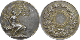 2493 Frankreich, Silbermedaille (Dm. Ca. 36,90mm, Ca. 20,23g), O.J., Ch. Pillet. Av: Sitzende Weibliche Gestalt Mit Zwei - Autres & Non Classés