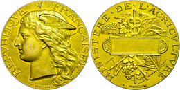 2555 Frankreich, Vergoldete Silbermedaille (Dm. Ca. 41mm, Ca. 36,04g), O.J., Von H. Ponscarme, Preis Des Landwirtschafts - Autres & Non Classés