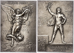 2556 Frankreich, Versilberte Bronzemedaille (Dm. Ca. 60x42mm, Ca. 56,35g), 1900, Von F. Vernon. Av: Schwebende Stadtgött - Autres & Non Classés