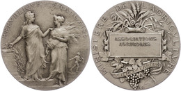 2566 Frankreich, Silbermedaille (Dm. Ca. 41mm, Ca. 37,10g), O.J., Von A. Dubois, Prämienmedaille Des Landwirtschaftsmini - Autres & Non Classés