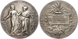 2569 Frankreich, Silbermedaille (Dm. Ca. 41mm, Ca. 35,95g), 1904, Von A. Dubois. Av: Stehende Marianne Neben Bäuerin. Re - Autres & Non Classés