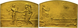 2582 Frankreich, Vergoldete Bronzeplakette (ca. 70,90x50,90mm, Ca. 100,02g), 1906, Von R. Grégoire, Auf Die Kolonialauss - Autres & Non Classés