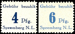3585 4 Pfg. Violettultramarin Und 6 Pfg.(lebhaft)blau Auf Grauem Papier, 4 Pfg. Rechts Mit Besonderheit (zweite Senkrech - Spremberg