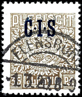 5075 35 Pfg Dienstmarke Mit Doppeltem Aufdruck, Zentrisch Gestempelt "FLENSBURG 1.3.20", Tadellos, äußerst Seltenes Stüc - Autres & Non Classés