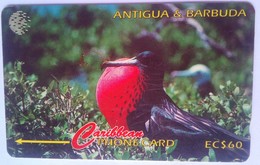 14CATB Frigate Bird EC$60 - Antigua Y Barbuda