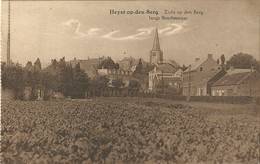 Zicht Op Den Berg Langs Boschestraat - Heyst-op-den-Berg - Heist-op-den-Berg