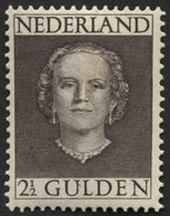 NIEDERLANDE 541 **, 1949, 21/2 G. Graubraun, Pracht, Mi. 200.- - Andere & Zonder Classificatie