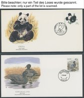 SONSTIGE MOTIVE Pflanzen Und Tiere Der Welt, 96 Verschiedene FDC`s Der National Audubon Society, Prachterhaltung - Unclassified