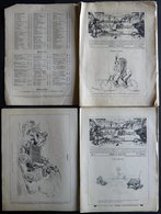 KLASSISCHE LITERATUR 1898-1901, 104 Ausgaben Der Illustrierten Sportzeitung Radfahrer Humor, Jahrgang XIII 49 Von 52 Aus - Andere & Zonder Classificatie