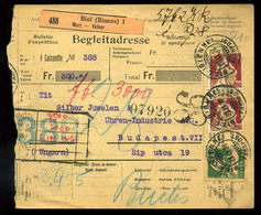 94082 SVÁJC 1924. Csomagszállító Budapestre Küldve  /  SWITZERLAND 1924 Parcel P.card To Budapest - Lettres & Documents