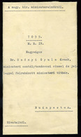 94370 BUDAPEST 1939. Kormányzói Kinevezés , Gróf Teleki Pál Miniszterelnök Sk. Aláírásával  /  Governor Appointment Sign - Documents Historiques