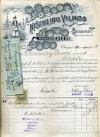 94434 BUDAPEST 1901. Nöthling Vilmos Magkereskedés, Fejléces Számla  /  Vilmos Nöthling Seed Store  Letterhead Bill - Publicités