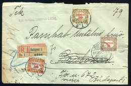 95058 BUDAPEST 1923. Ajánlott Levél Hivatalos Bélyegekkel, Bácsbokodról Visszaküldve  /  Reg. Letter Official Stamps Ret - Lettres & Documents