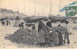 35-CANCALE- TRIAGE DES HUITRES DE LA CARAVANE - Cancale