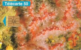 CARTE-PUBLIC-MONACO-50U-MF33-GEMA-01/95-Sans Logo-R° Glacé-PROTECTION DE LA NATURE-V° DN°Série B4B014002-TBE- - Mónaco