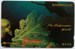 Barbados 5CBDC B$40 " Underwater (without Logo)" - Barbados