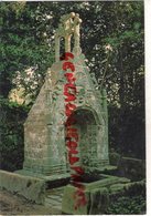 56- CLEGUEREC- LA FONTAINE DE LA TRINITE - Cleguerec