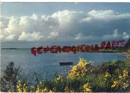 56- ILE ARZ - LE PRINTEMPS  GOLFE DU MORBIHAN - Ile D'Arz