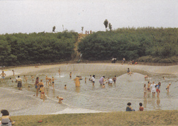 CPSM 59 @ CONDE SUR ESCAUT @ Le Parc Chabaud Latour - Le Plan D'eau - Loisir - Conde Sur Escaut