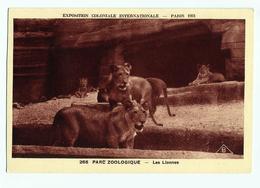 CPA  PARIS EXPOSITION COLONIALE 1931 - LES LIONNES - Tentoonstellingen