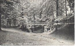 Bruxelles - CPA - Brussel - Le Pont Rustique - Forests, Parks