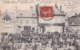 DOULLENS - MARCHE AUX VACHES - 80 - Doullens